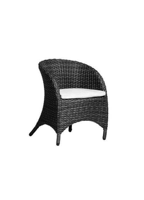 Coast Wicker Dining Chair Outdoor