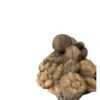 Decorative Fruit Vase - Image 3