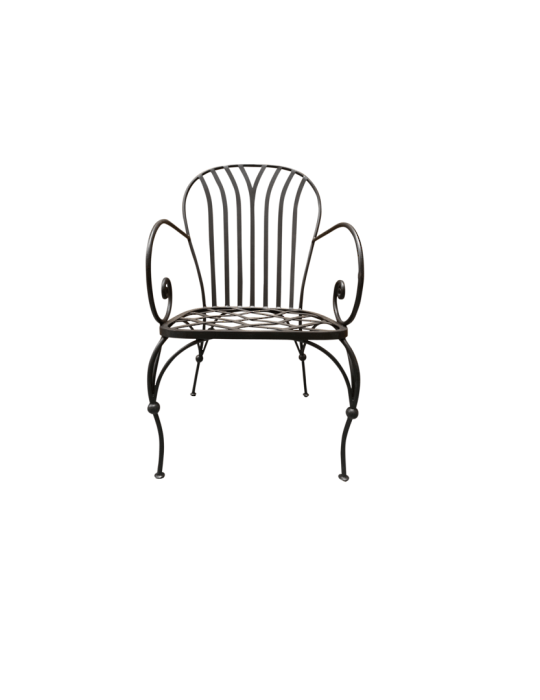 Paris Arm Chair Without Cushion