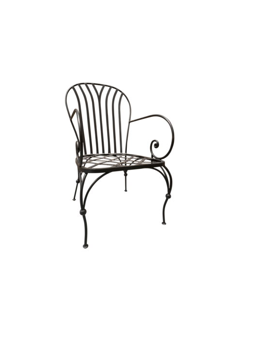 Paris Arm Chair Without Cushion